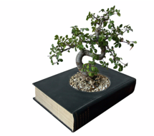 maceta con libro para bonsai